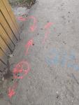 Imagine atasata: IMG_20210715_181558020.jpg